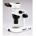 奥林巴斯体视荧光显微镜SZX10-3151FL