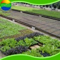 菜园种植设施