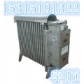 矿井下用电暖器 RB2000/127(A)取暖器