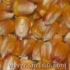 四川卫世采购木薯淀粉玉米小麦高粱棉粕碎米