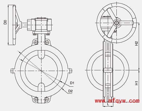 D71F46、D371F46衬氟蜗轮对夹蝶阀的结构图