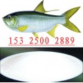 高强诱鱼剂DMPT02（鱼虾饲料通用）