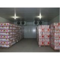 提供上海冷冻仓储物流上海硕农大型蔬菜保鲜冷库租赁