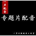 上海企业宣传片配音配乐，上海专题片配音，一声配音工作室