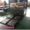 商用双层电热烤鱼炉贵州省厂家价格   烤鱼烤箱设备