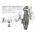 PN16/25/40/64螺纹弹簧安全阀