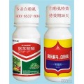 防治白粉虱杀虫剂葫芦岛白粉虱特效药1+1白粉虱好药厂家