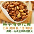 深圳文锦渡进口松子清关要哪些手续/食品报关代理公司