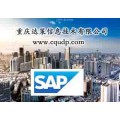 成都印刷包装行业ERP 成都SAP系统 重庆达策SAP代理商