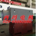 800KW 6000V 5-50HZ变频高压电机哪个厂商好