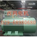 西安泰富西玛375KW 5-100HZ变频电机该如何挑选