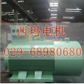 250KW 5-100HZ高效节能变频电机大量销售