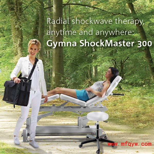 ShockMaster 300-4