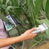 光合作用测定仪在植物生理检测上的应用