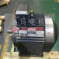 YE3-160L-2 YE2-280M-2新型高效节能电机