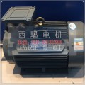 YE3-160L-2 YE2-100L1-4新型高效节能电机
