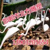 仿真水禽雕塑厂家，专业水禽定制厂家，邯郸北方雕塑厂！