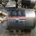 西安电机厂 YVFE3-132M2-6高效节能型变频调速电机