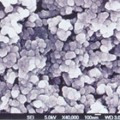 供应浙江杭州活性碳酸钙