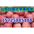 山东苹果产地红富士苹果市场批发价格
