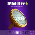 LED防爆灯价格 40W 60W 80W