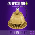 HRD92系列防爆高效节能LED灯 20W 30W 50W