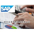 SAP外包服务 SAP售后服务外包  重庆达策
