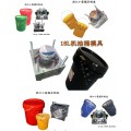 黄岩专做塑料模具厂 5升塑料双口化工桶八角模具公司地址