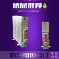 BDR51-1.5KW/7 防爆电热油汀 防爆取暖器