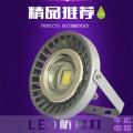 ZY9710大功率LED照明灯 LED防爆灯100W