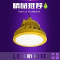 防爆LED照明灯 高效LED照明灯 LED工厂灯