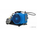 MSA 100TE空气呼吸器填充泵