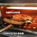 信阳市供应无烟环保电烤箱  智能烤鱼炉生产价格