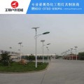 LED太阳能路灯成了城市路灯届的新时尚