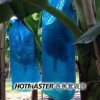 海南儋州哪里有卖好家伙香蕉套袋器？