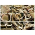 湖北园林石厂家-武汉大理石·花岗石·门牌石·自然石卖