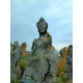 武汉奇石产地报价-湖北太湖石·灵壁石·上吸水石·钟乳石供应
