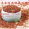 洋县有机红米大宗批发，原生态补血养生红米粥米产地直供