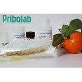Pribolab普瑞邦赭曲霉毒素ELISA检测试剂盒