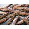 上海活龙虾进口报关没有单据如何处理