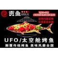 香港国力国际集团旗下贡鱼，以口碑传播促进门店业绩！