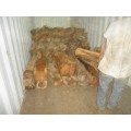 木材家具进口要提供什么资料报关|广州黄埔港清关代理