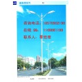 广西道路灯杆图片*灯杆款式*路灯杆健身器材价格