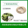 白芷提取物10:1 应白芷粉 植提源头厂家现货供应