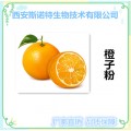 橙子粉 橙子果粉 西安斯诺特纯天然提取