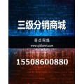 品牌商城网站开发公司/微商城制作/德州商城网站建设