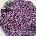 金沂蒙供枣庄天然紫薯幼苗价格紫薯幼苗