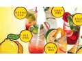 柠檬城堡 无添加的健康饮品 全国招商加盟