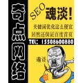 网站SEO优化公司 SEO优化推广 专业SEO优化