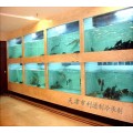 天津海鲜池安装公司哪家好-天津河东区海鲜池-天津 海鲜池
